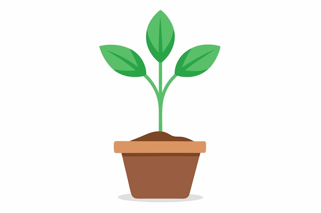 Arte vectorial de una planta pequeña sobre un fondo blanco