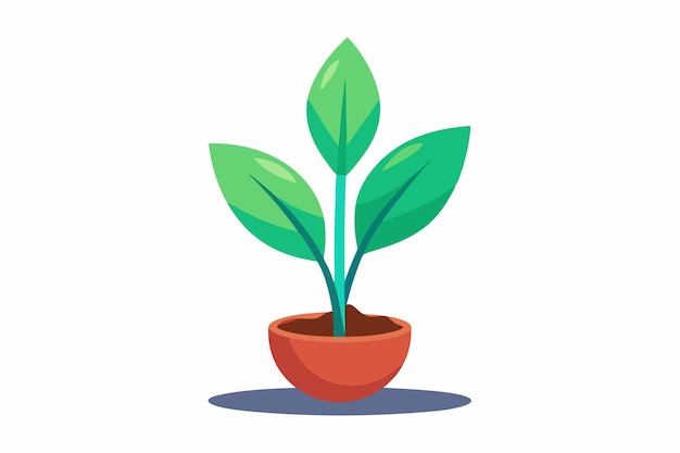 Arte vectorial de una planta pequeña sobre un fondo blanco