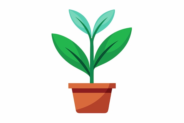 Arte vectorial de una planta pequeña sobre un fondo blanco