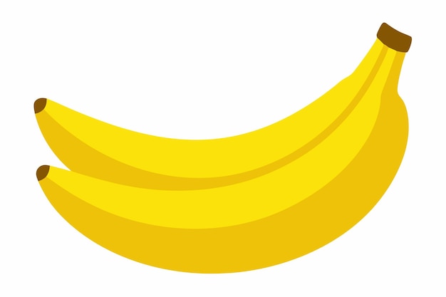 Arte vectorial de plátano en fondo blanco
