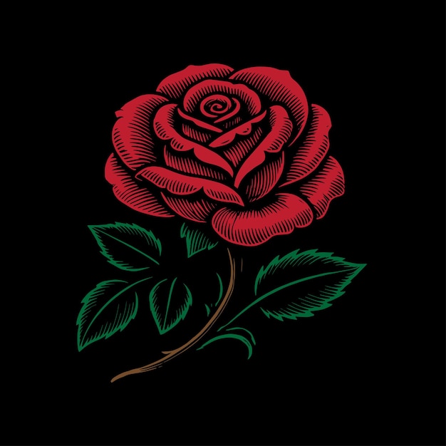 Arte vectorial de la rosa roja