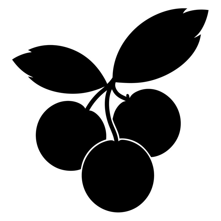Arte vectorial de silueta de cranberry elegante e ilustración de diseño de cranbury negro