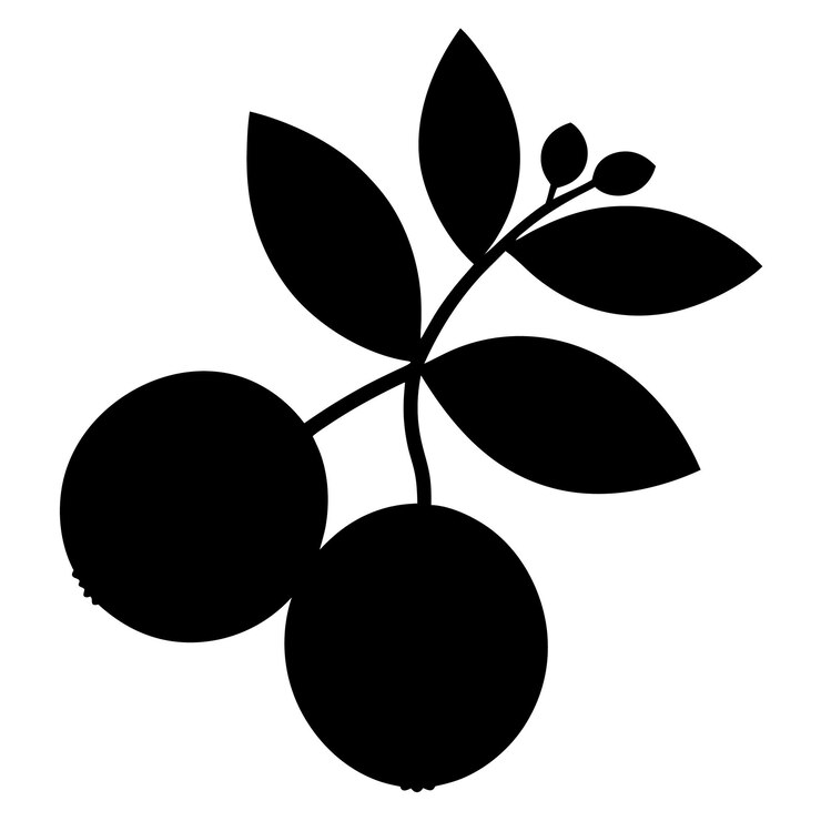 Arte vectorial de silueta de cranberry elegante e ilustración de diseño de cranbury negro