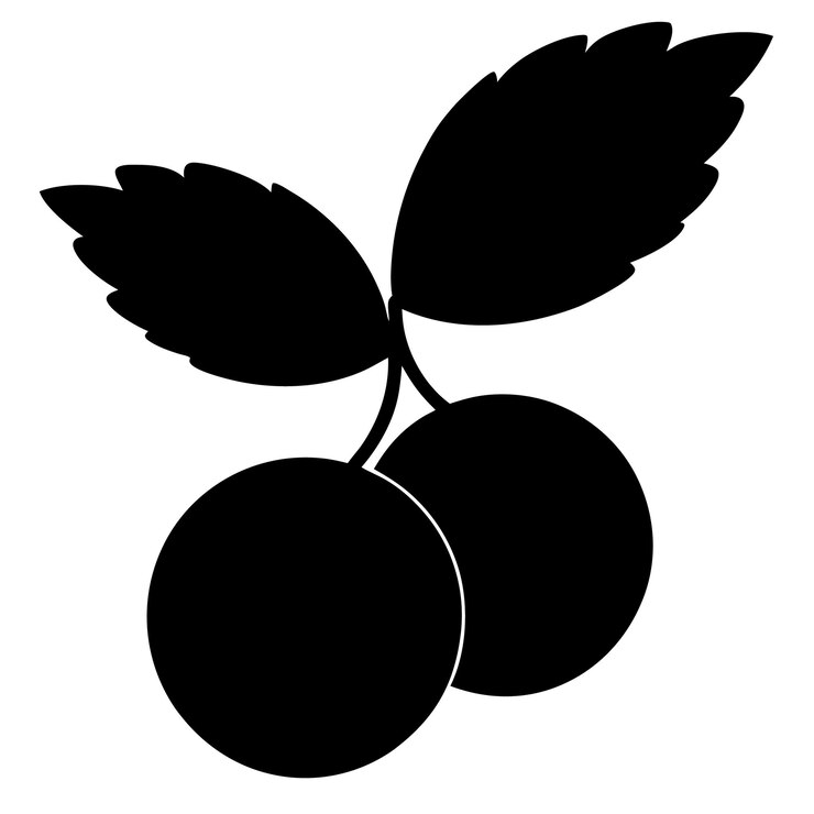 Arte vectorial de silueta de cranberry elegante e ilustración de diseño de cranbury negro