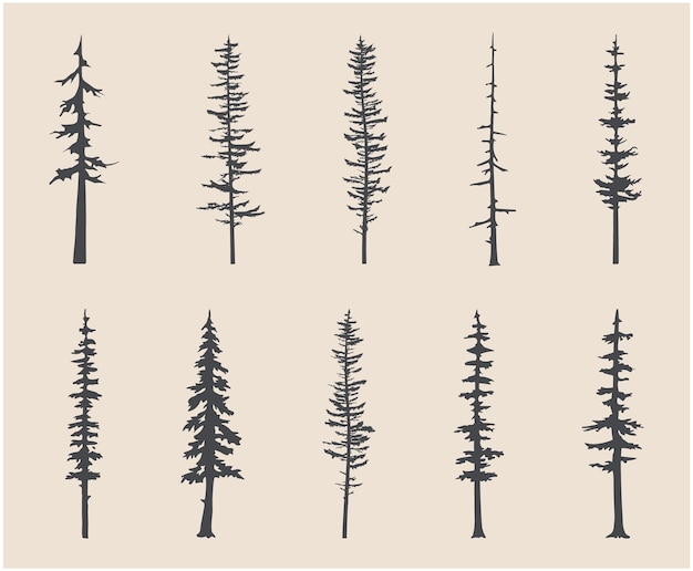 Arte vectorial de siluetas de pinos profesionales