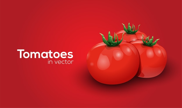 Vector arte vectorial de tomates