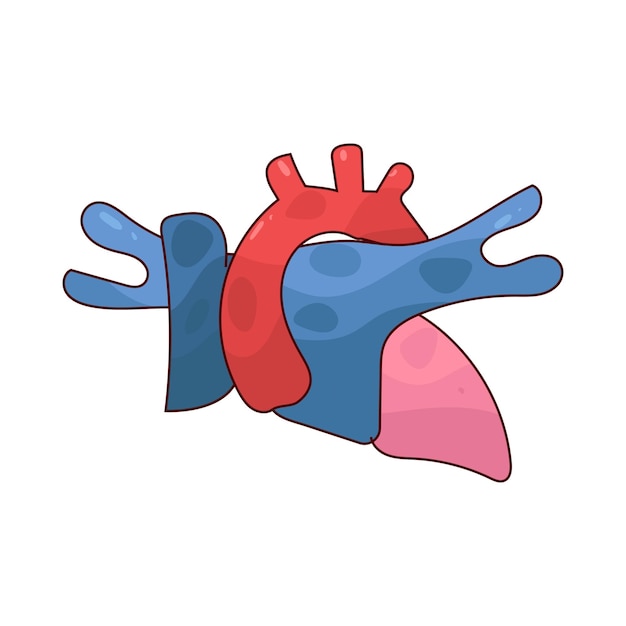 La arteria pulmonar