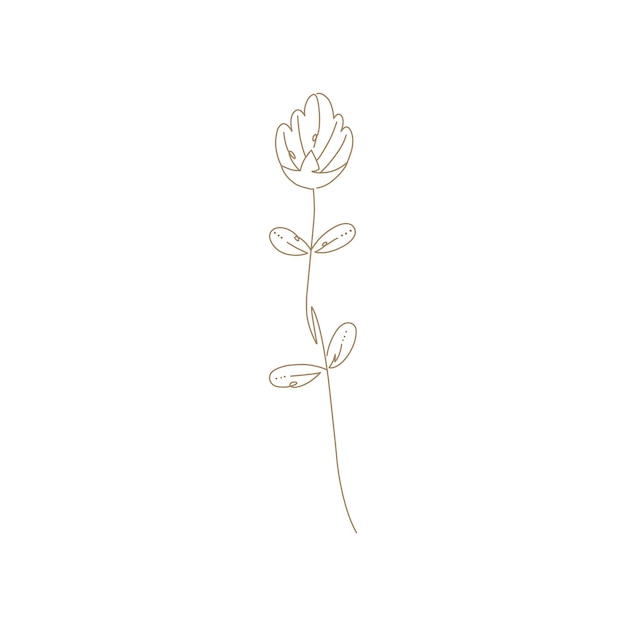 Artes botánicas Dibujo de línea continua dibujado a mano de flores abstractas florales rosas hojas tropicales