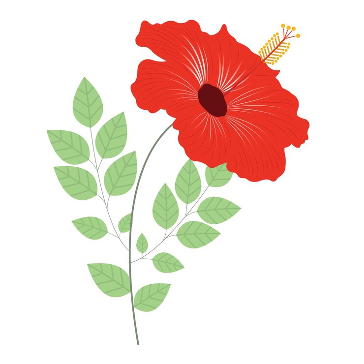 Artes florales coloridas Ilustraciones gráficas Vector Fotos de flores Imágenes Imágenes para imprimir