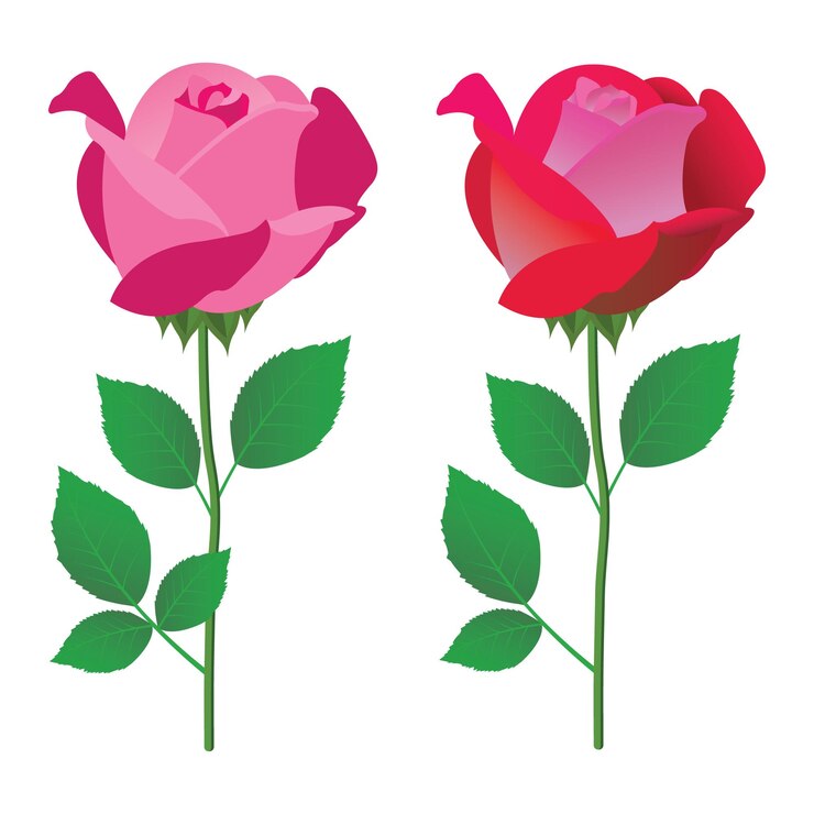 Artes florales coloridas Ilustraciones gráficas Vector Fotos de flores Imágenes Imágenes para imprimir