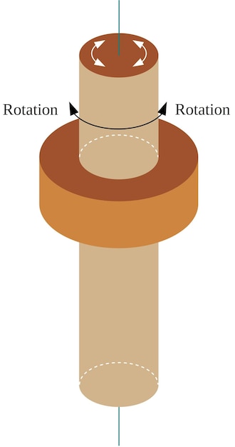 Vector la articulación de pivote es un tipo de articulación sinovial que permite la rotación axial