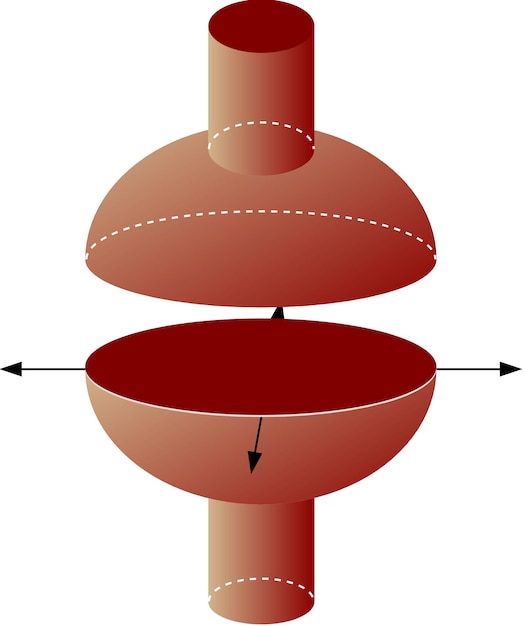 Vector una articulación plana es una articulación sinovial.