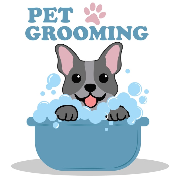 Vector aseo de mascotas para perros y gatos para un salón de belleza para carteles o pancartas ilustración vectorial