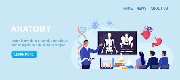 Asignatura de la escuela de anatomía Estudiantes que estudian el esqueleto humano Profesor señalando la pizarra enseñando a las personas Los alumnos aprenden los órganos nerviosos óseos sistemas sanguíneos Clases de biología medicina