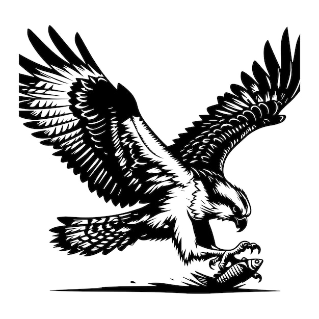 Asombroso águila marina o halcón de mar tratando de cazar Vector Ilustración silueta Una imagen increíble