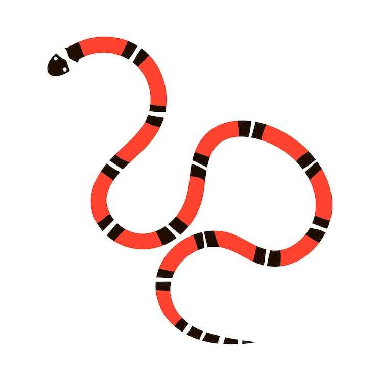 Vector asp serpiente colorida venenosa sobre un fondo blanco