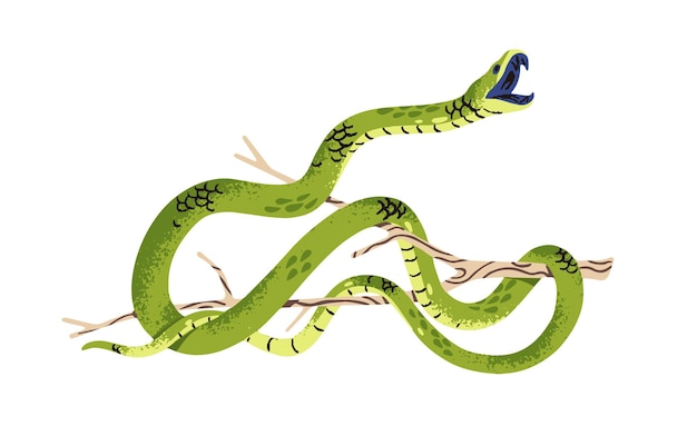 Ataques de mamba verde occidental Serpiente delgada venenosa en rama de árbol Serpiente exótica peligrosa con boca abierta Reptil tropical de selva africana Ilustración vectorial aislada plana en blanco