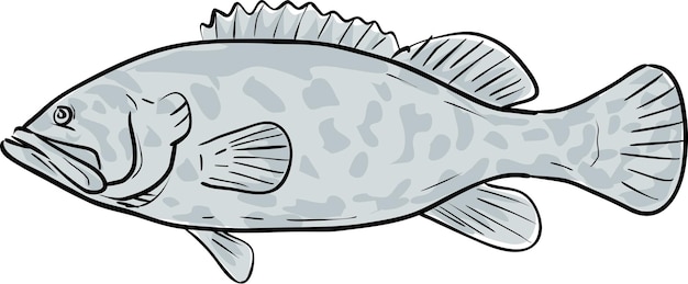 Vector atlantic goliath grouper fish dibujo de dibujos animados del golfo de méxico