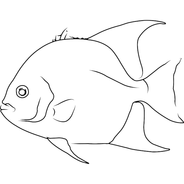 Atlantic Spadefish Mano esbozada mano dibujada vector clipart