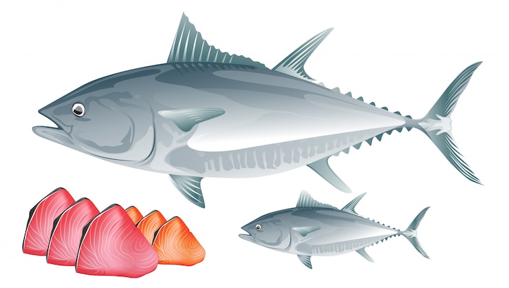Vector el atún