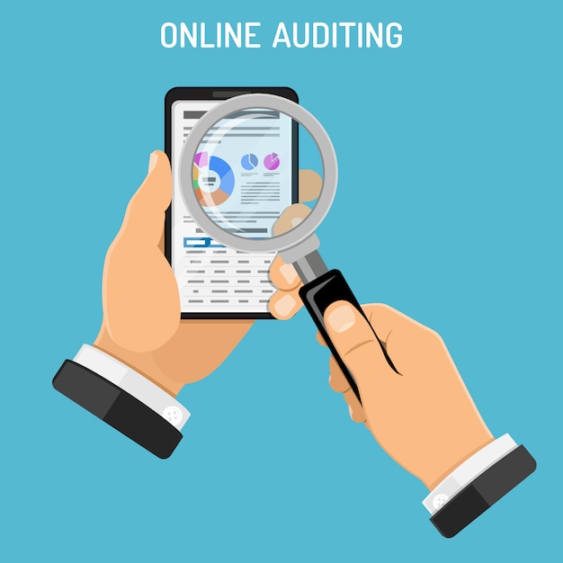 Auditoría en línea, proceso tributario, concepto contable