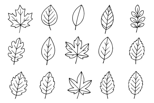 Autumn leaves doodle style Set of hand drawn autumn forest leaves