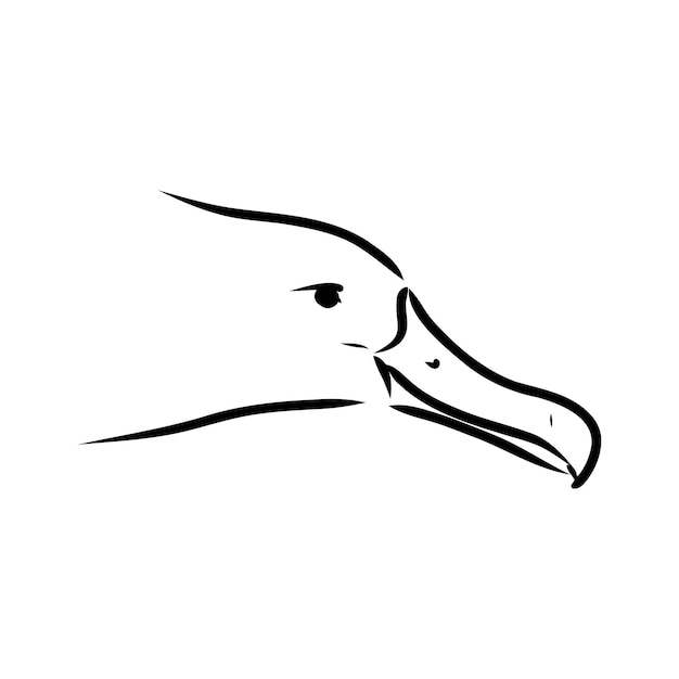 Ave albatros gaviota en vuelo con alas abiertas dibujo gráficos vectoriales dibujo en blanco y negro