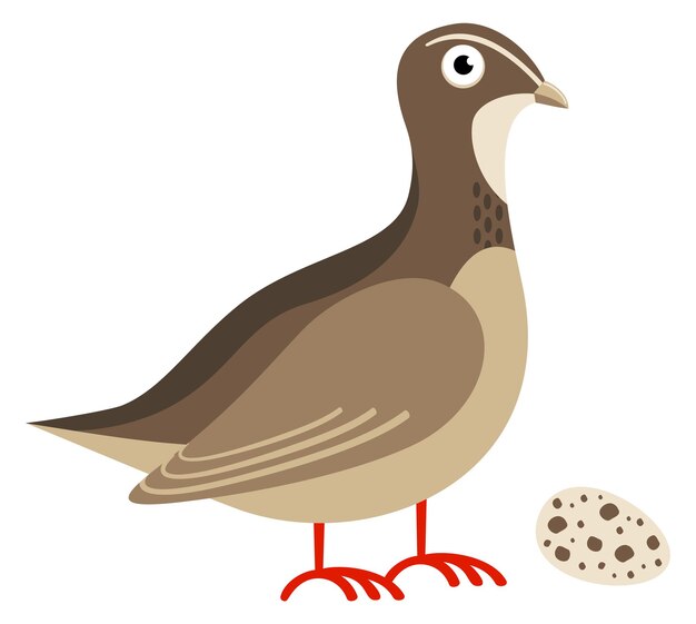 Ave de codorniz con huevo Animal de dibujos animados Aves de corral salvajes