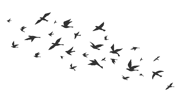 Ave volando. pájaros libres acuden en vuelo siluetas negras. imagen del tatuaje, símbolo de la libertad ilustración de vector de vida silvestre. silueta de grupo de animales negros, pájaros en el aire