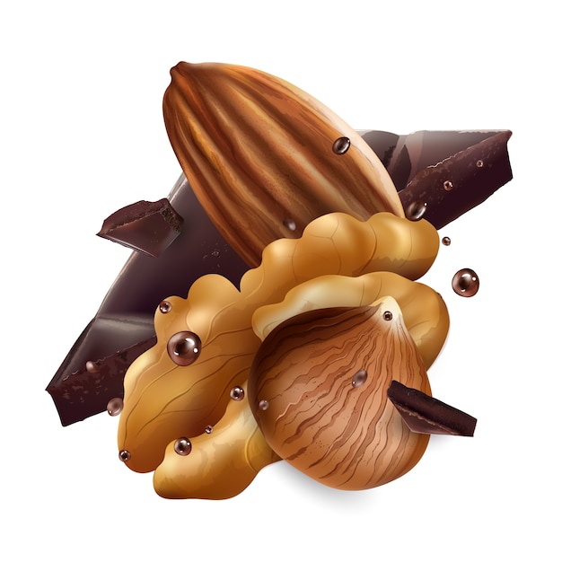 Vector avellanas, almendras y nueces con trozos de chocolate.