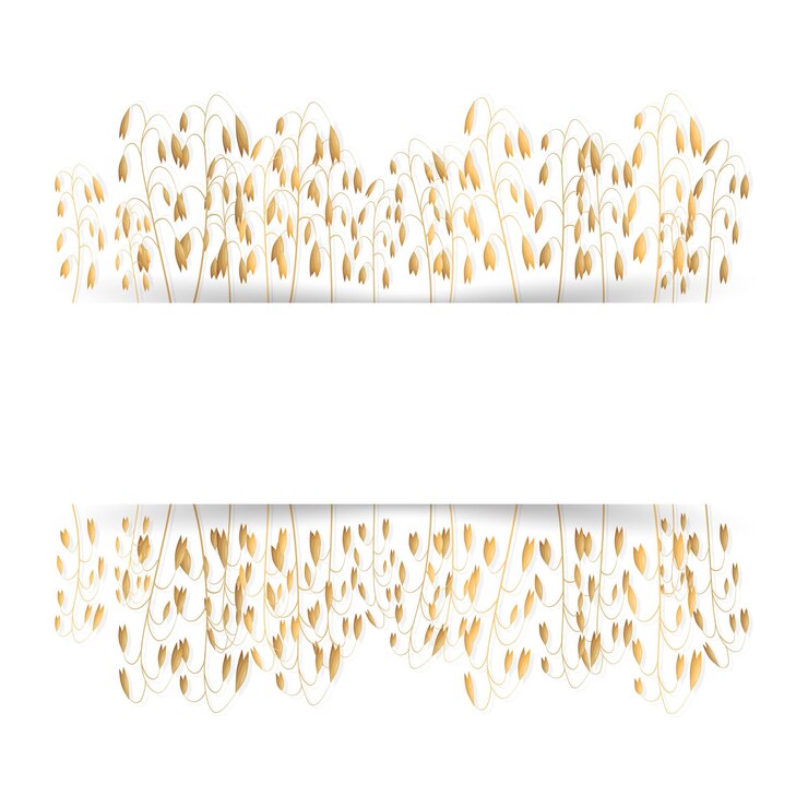 Vector avena con espacio para texto vector fondo aislado