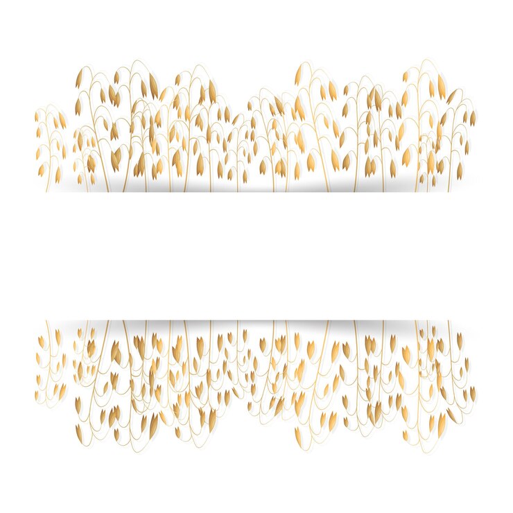 Vector avena con espacio para texto