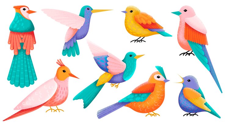 Vector aves decorativas planas aves exóticas animales coloridos populares colibrí volador aislado arte moderno elementos de bosque salvaje con textura personajes de vector de bosque ostentoso