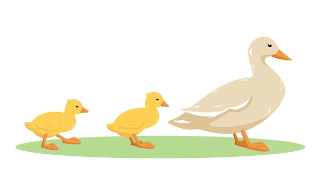 Aves domésticas de pato aves de corral mamá pato y patitos