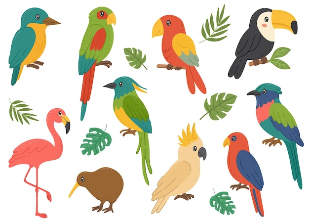 Las aves exóticas tropicales establecen el loro, el tucano, el flamenco, el kiwi y la cacatúa, animales tropicales salvajes.