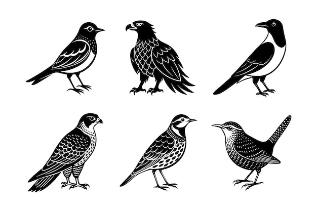 Aves de montaña silueta paquete de montaña azul pájaro águila dorada roca Wren occidental Meadowlark Clarks