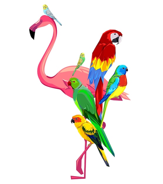Vector aves del paraíso flamencos y loros dibujados a mano diseño para niños impresión de aves tropicales ilustración vectorial diseño gráfico para bebés