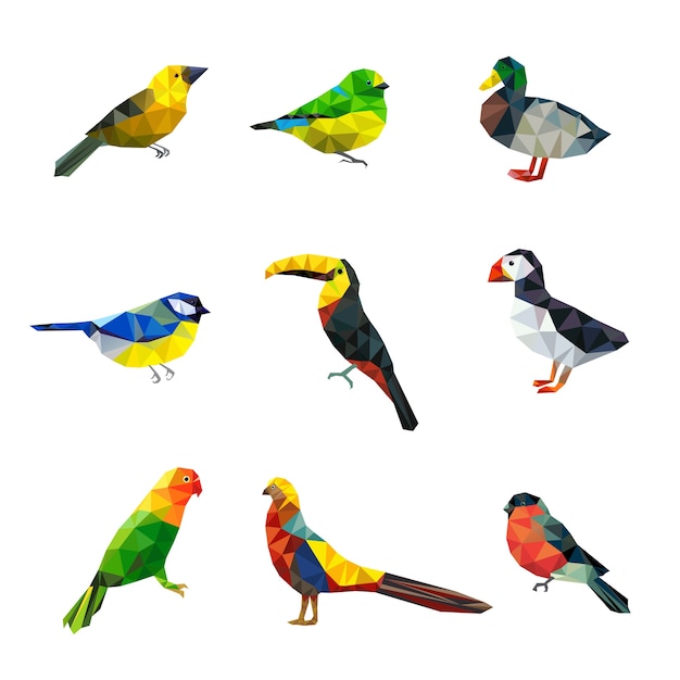 Aves poligonales. Triángulo formas abstractas gráfico colección de aves voladoras animales asiáticos colección de personajes vectoriales. Ilustración loro y cacatúa, pato y pájaro camachuelo