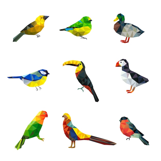 Aves poligonales. triángulo formas abstractas gráfico colección de aves voladoras animales asiáticos colección de personajes vectoriales. ilustración loro y cacatúa, pato y pájaro camachuelo