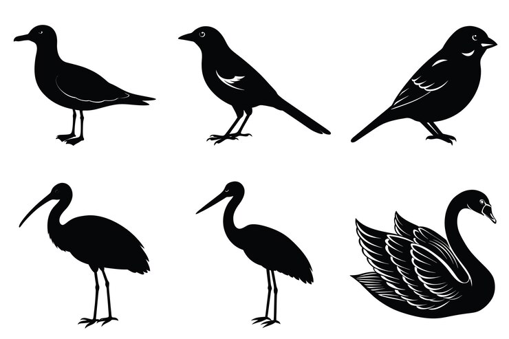 Vector aves en silueta una colección minimalista