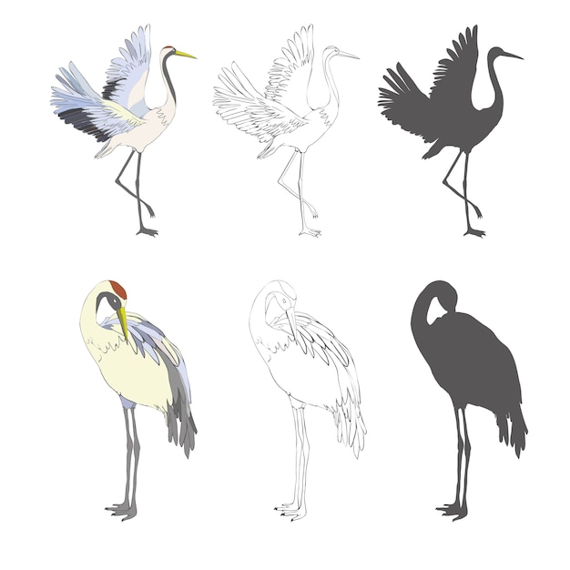 Vector aves silvestres en vuelo. boceto grabado dibujado a mano en estilo vintage.