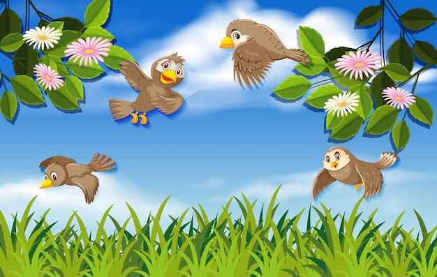 Aves voladoras en la naturaleza.