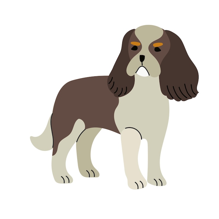 Vector avier rey charles spaniel icono clipart avatar logotipo ilustración aislada