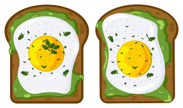 Vector avocado y huevos en pan de trigo entero adornado con perejil y hierbas ilustración de la vista superior