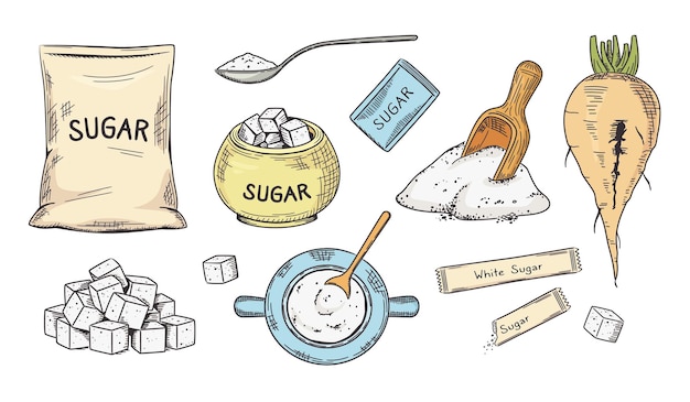Azúcar blanco dibujado a mano Esbozo de remolacha azucarera granulada y cubos Empaquetado en bolsas, palos y cuencos Conjunto de ilustraciones vectoriales