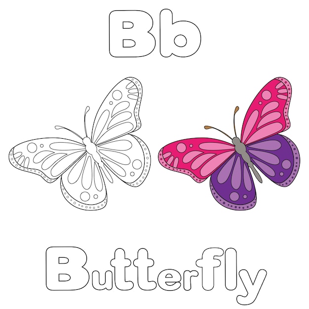 B para mariposa