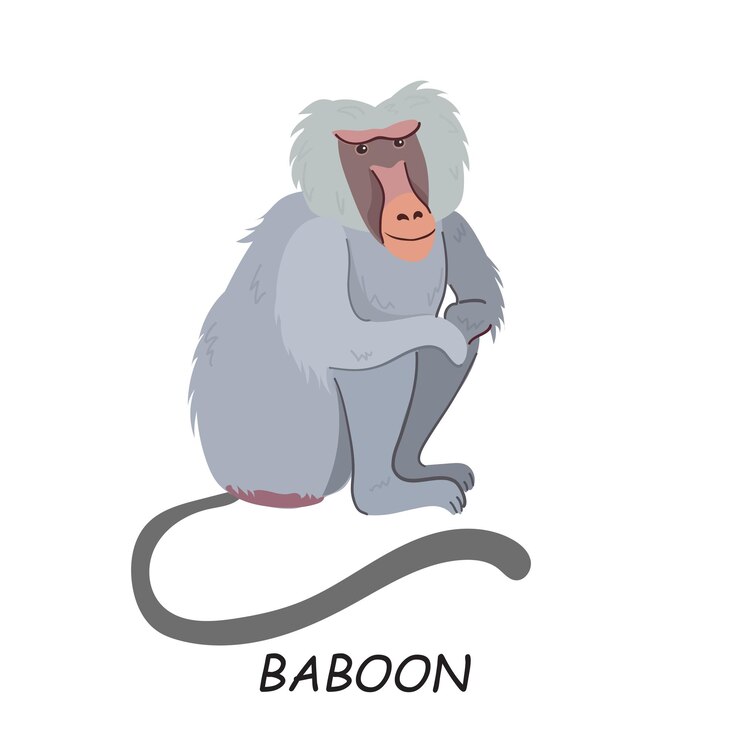 Vector babuino animal africano ilustración vectorial aislado sobre fondo blanco