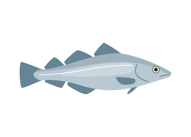 Bacalao eglefino bacalao mariscos color animal Agua delicadeza gourmet Pesca Vector ilustración aislada