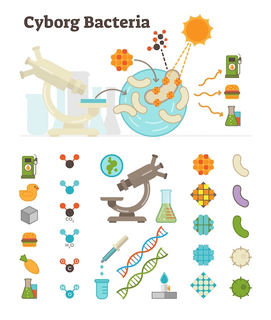 La bacteria cyborg produce combustible y comida a partir de la luz del sol, establece objetos gráficos.