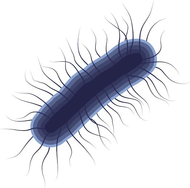 La bacteria Escherichia Coli o E. Coli Ilustración aislada sobre un fondo blanco